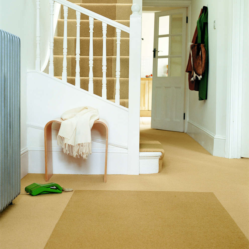 How To Choose The Right Carpet Image 2