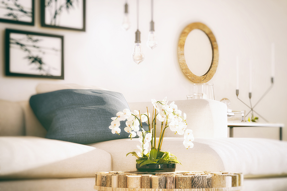 Let the Spring in image 3