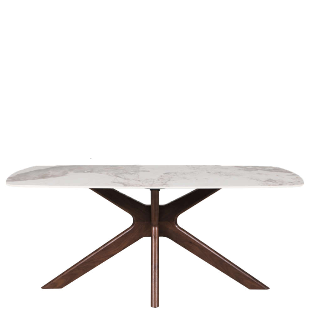 Ariya Rectangular Dining Table